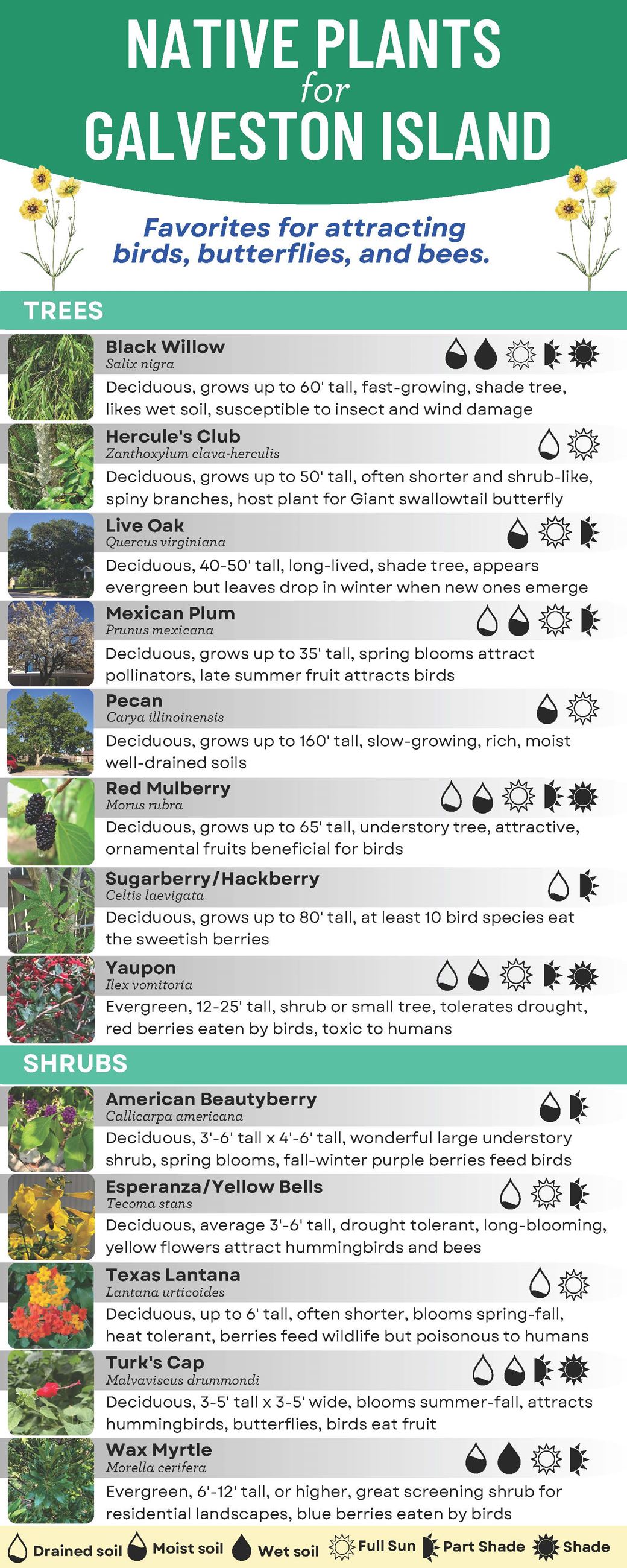 Galveston Native Plants_digital_FINAL_Page_1