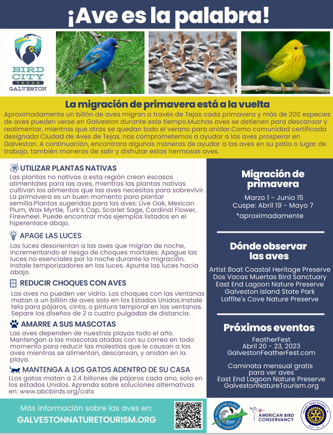 birdcityspanish